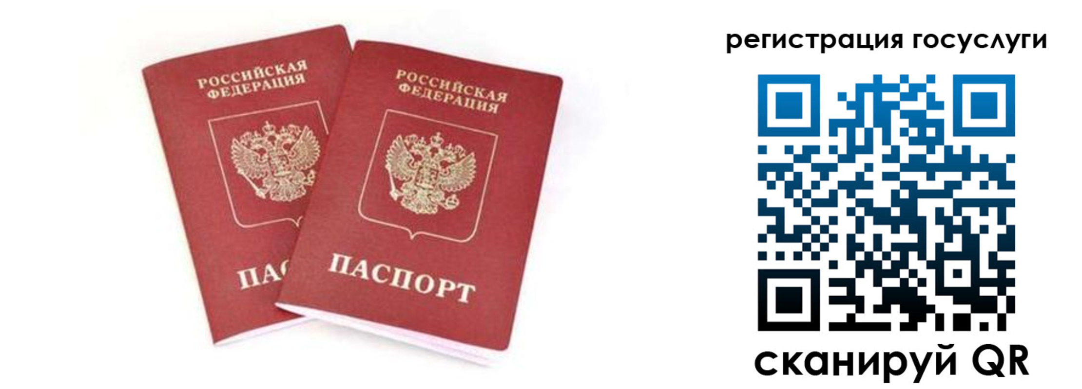 прописка в квартире в Новороссийске